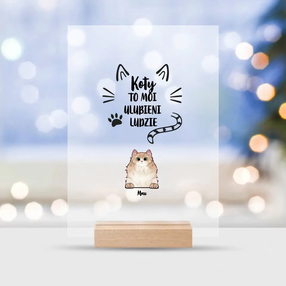 Koty to moi ulubieni ludzie