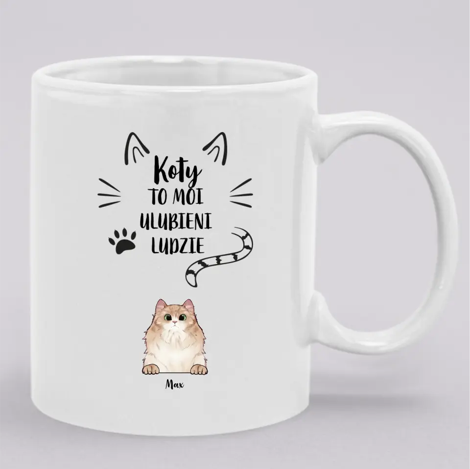 Koty to moi ulubieni ludzie