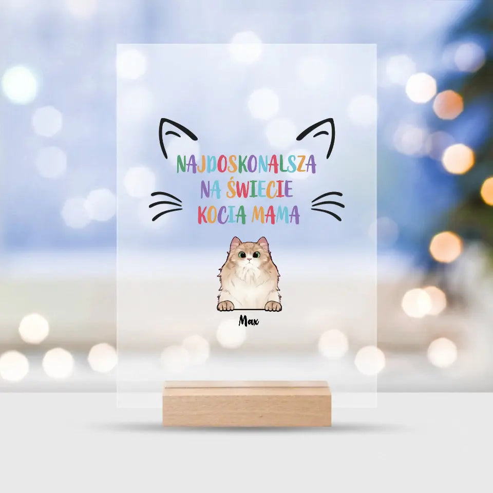 Najdoskonalsza na świecie kocia mama