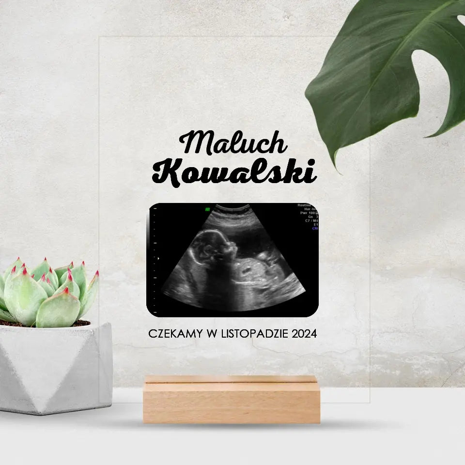 Czekamy w listopadzie 2024