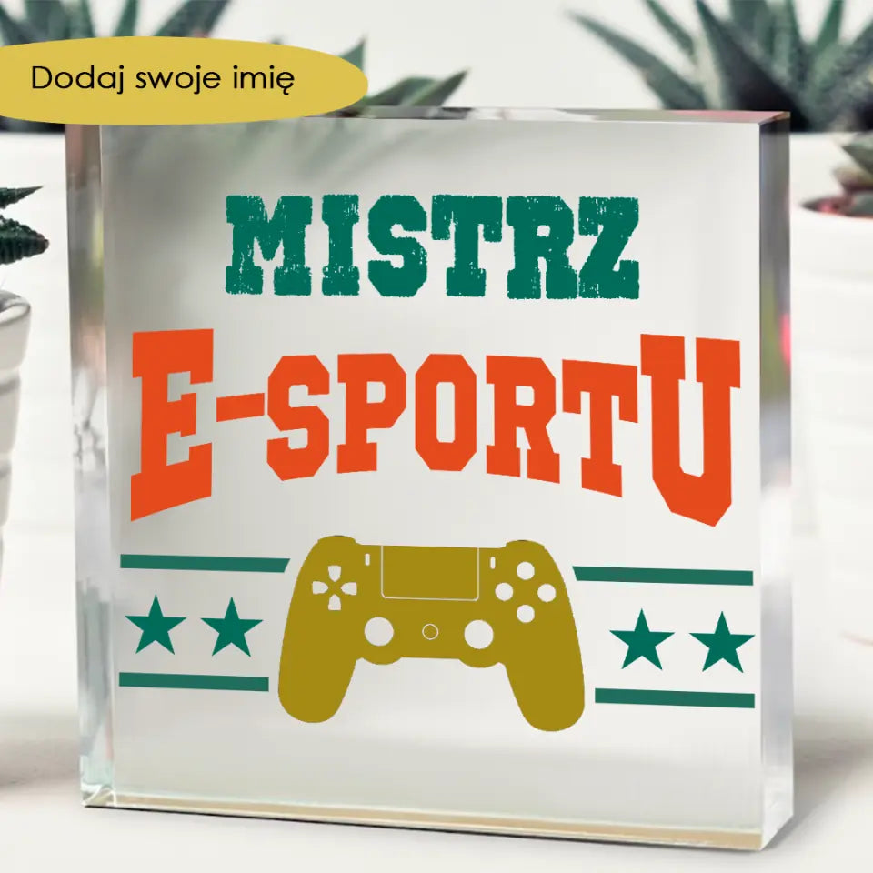 Mistrz e-sportu