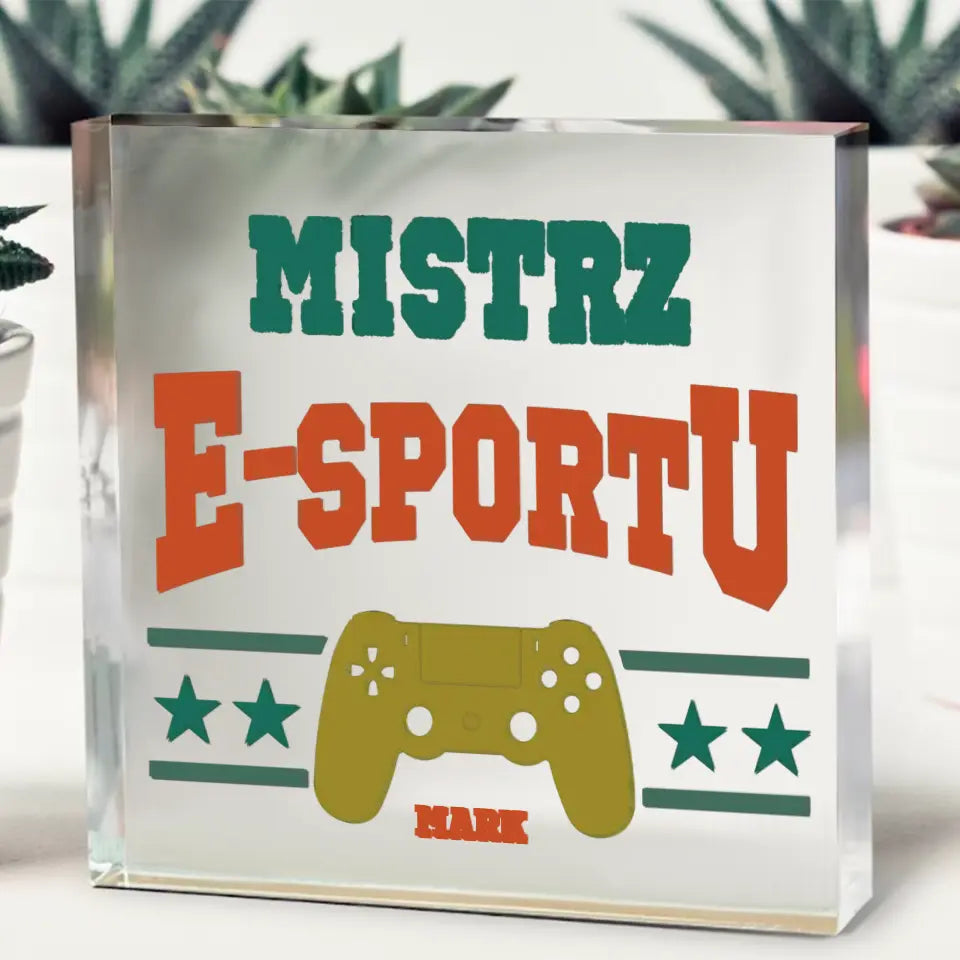 Mistrz e-sportu