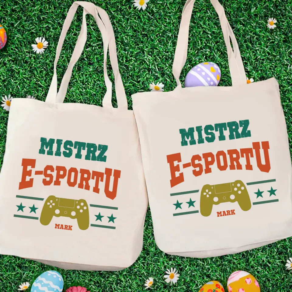 Mistrz e-sportu