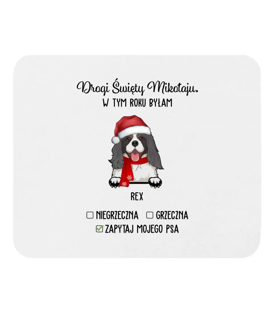 Bluza z kapturem - Drogi Święty Mikołaju