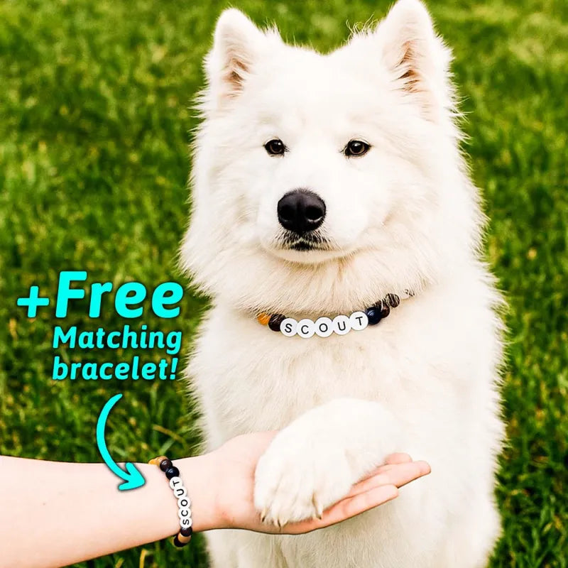 Personalized Pet Name Necklace – Comes with a Free Matching Bracelet