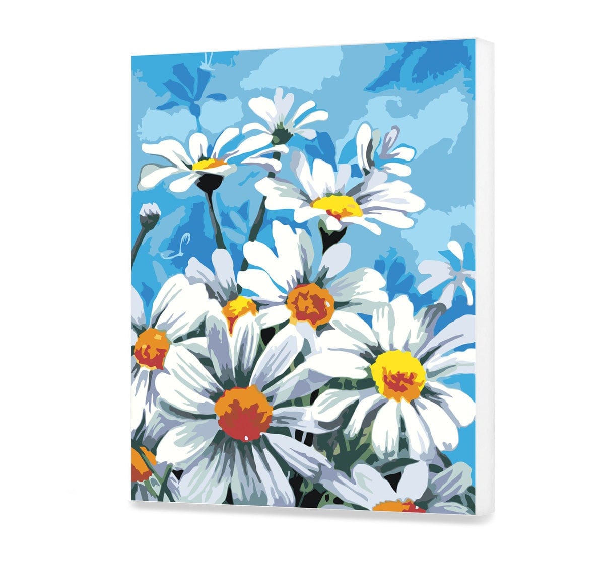 Rumianki Na Tle Nieba AB02073