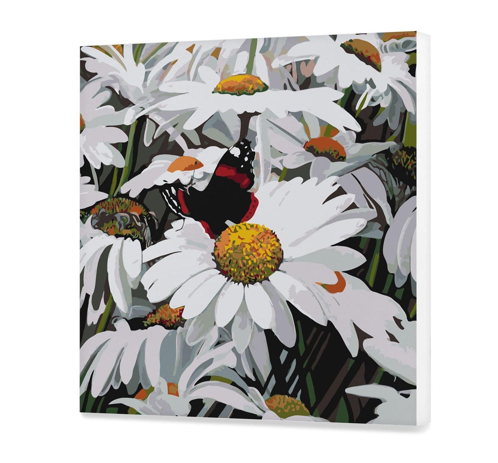 Rumianki i motyl SC0821