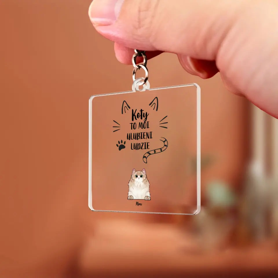 Koty to moi ulubieni ludzie