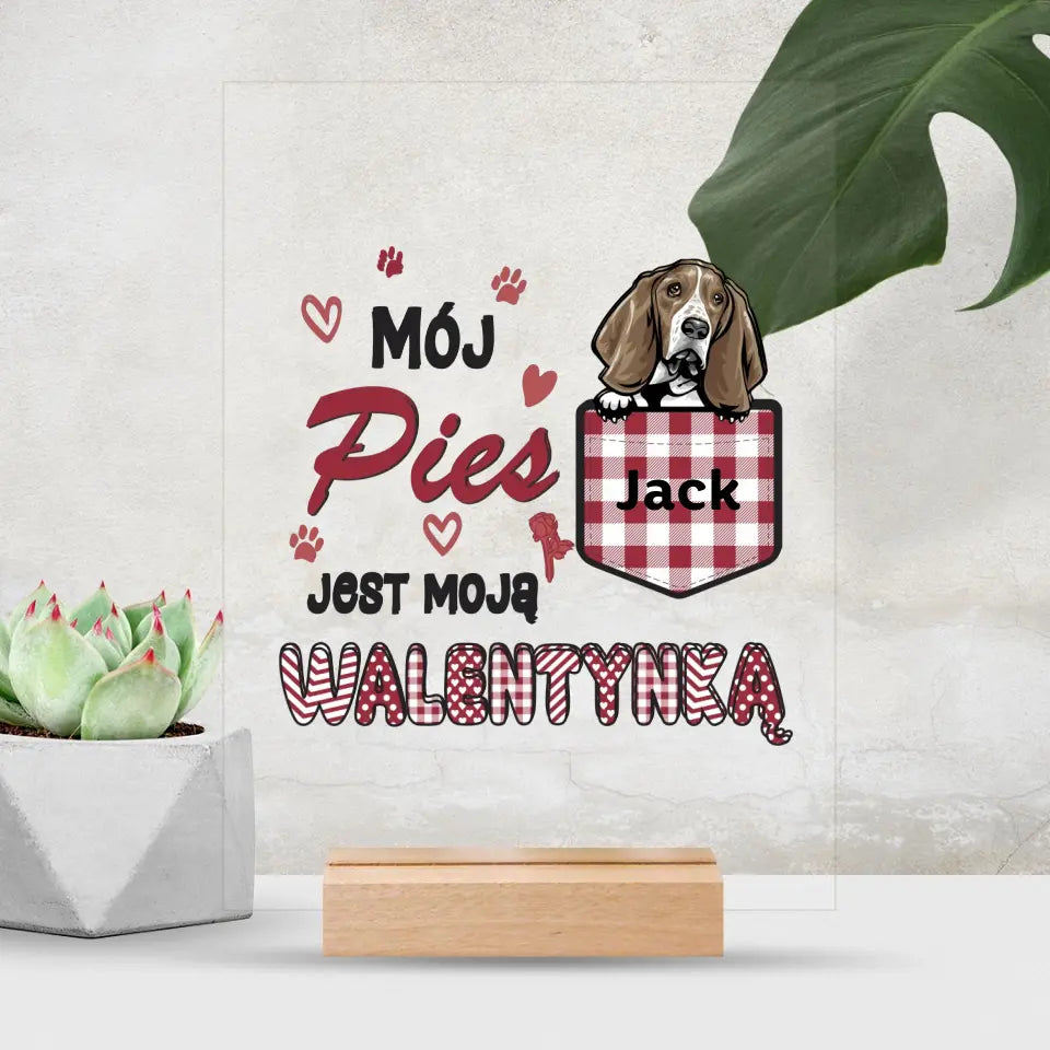 Mój pies jest moją walentynką