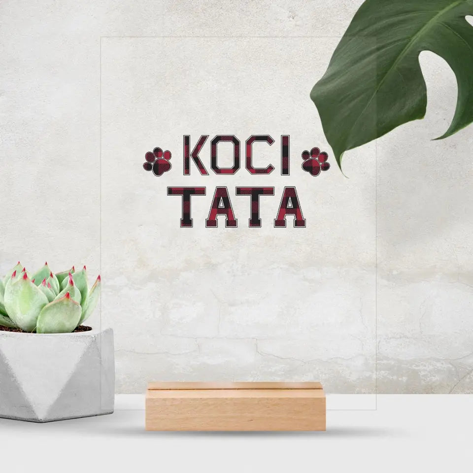 Koci Tata