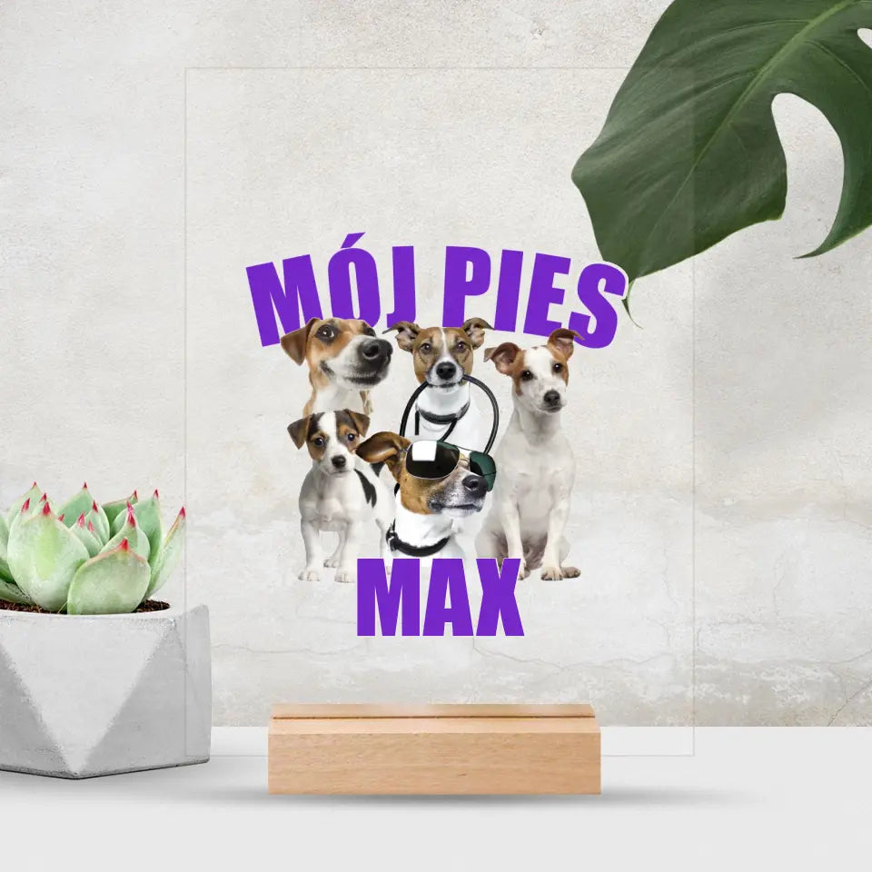 MÓJ PIES