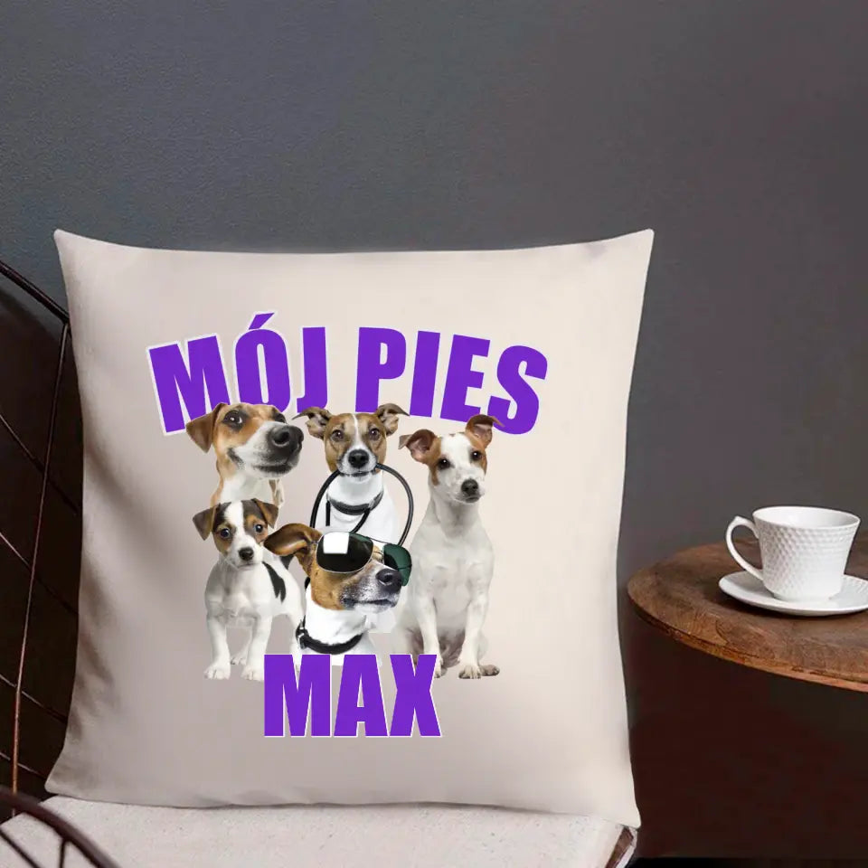 MÓJ PIES