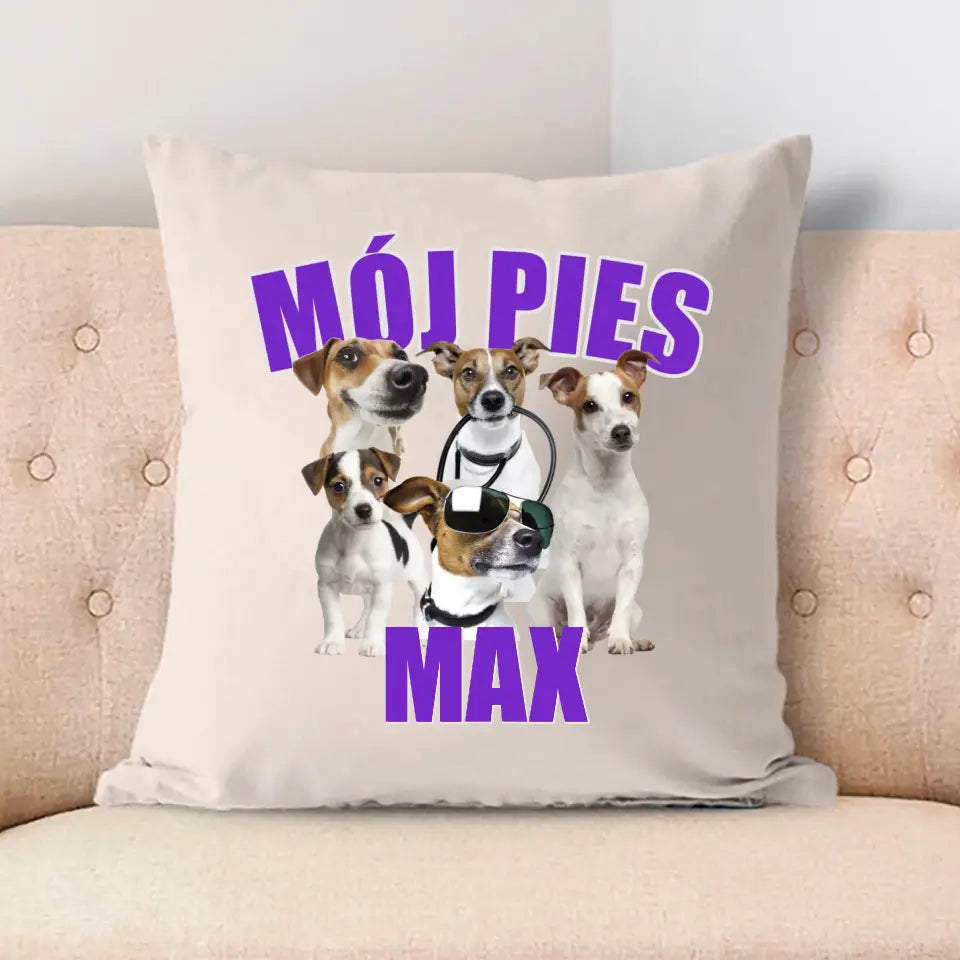 MÓJ PIES