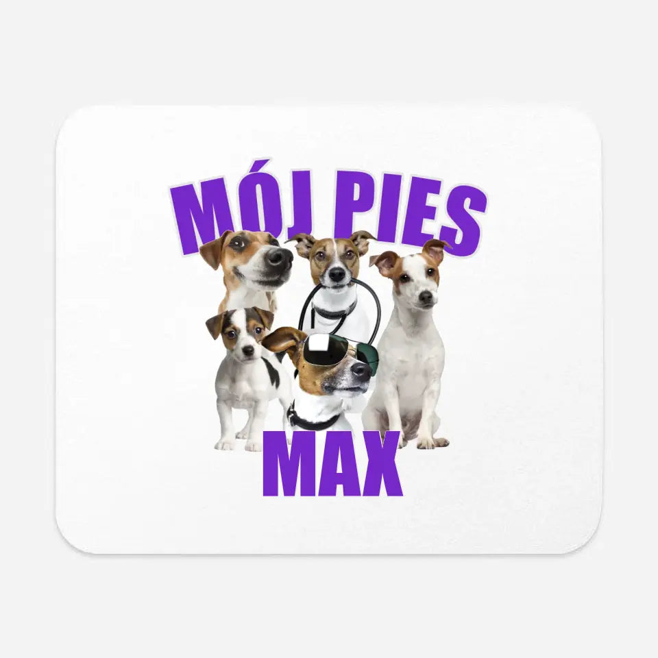 MÓJ PIES