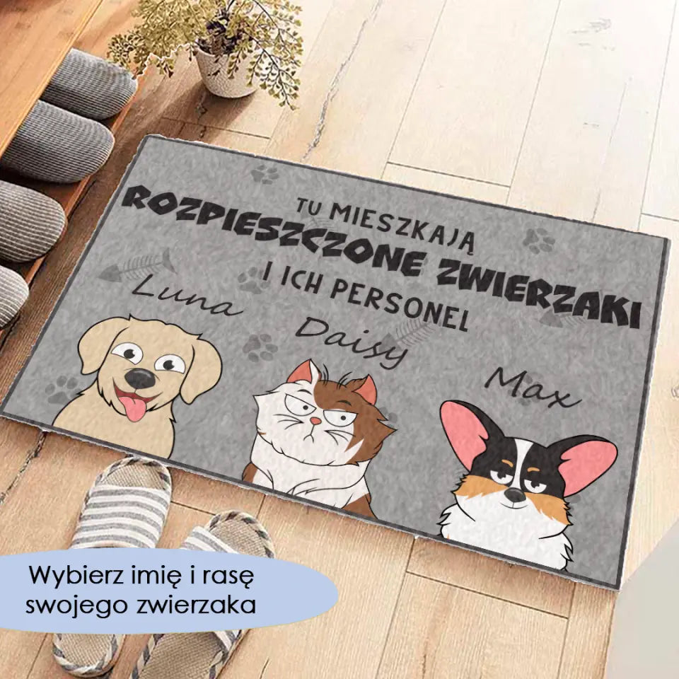 Tu mieszkają rozpieszczone zwierzaki i ich personel