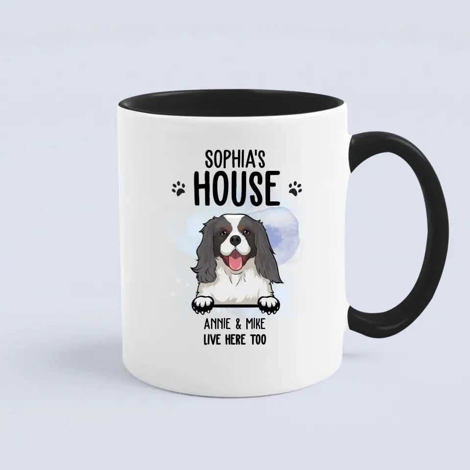 Dog House