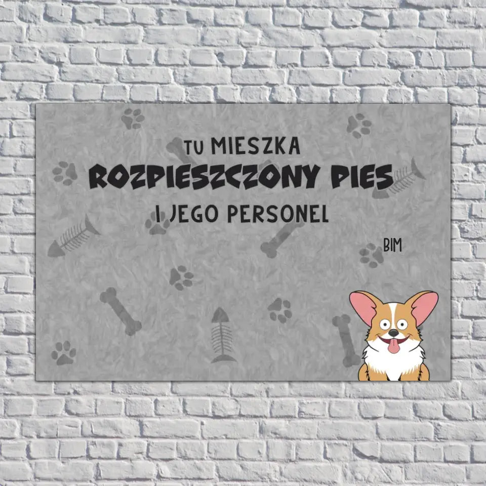 Tu mieszkają rozpieszczone zwierzaki i ich personel