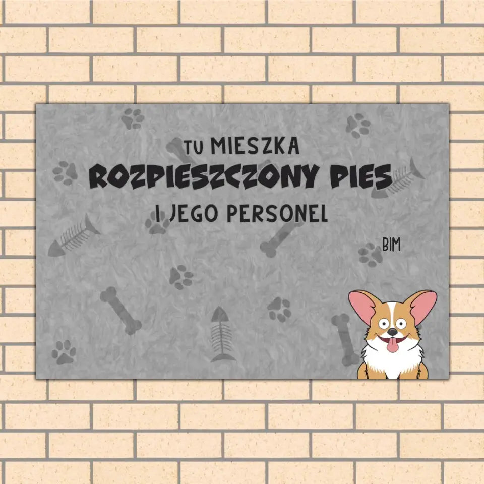 Tu mieszkają rozpieszczone zwierzaki i ich personel