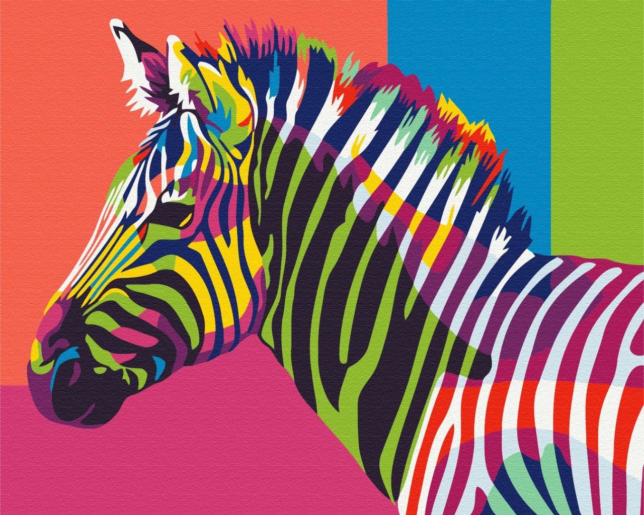 Tęczowa zebra