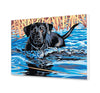 Pływające Psy AB0137