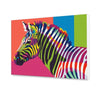 Tęczowa zebra