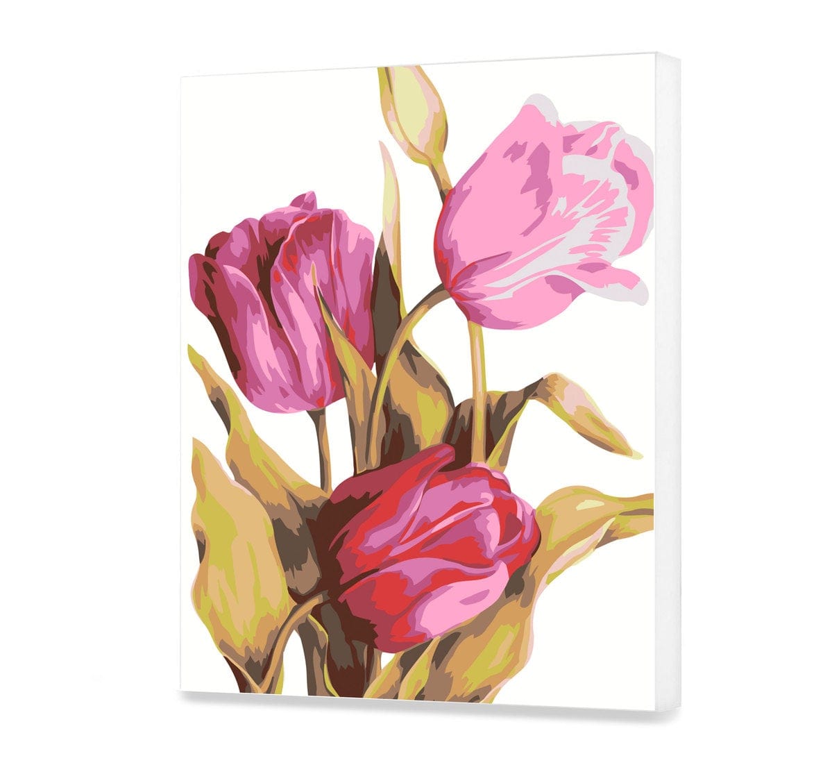 Tulipany NW0011