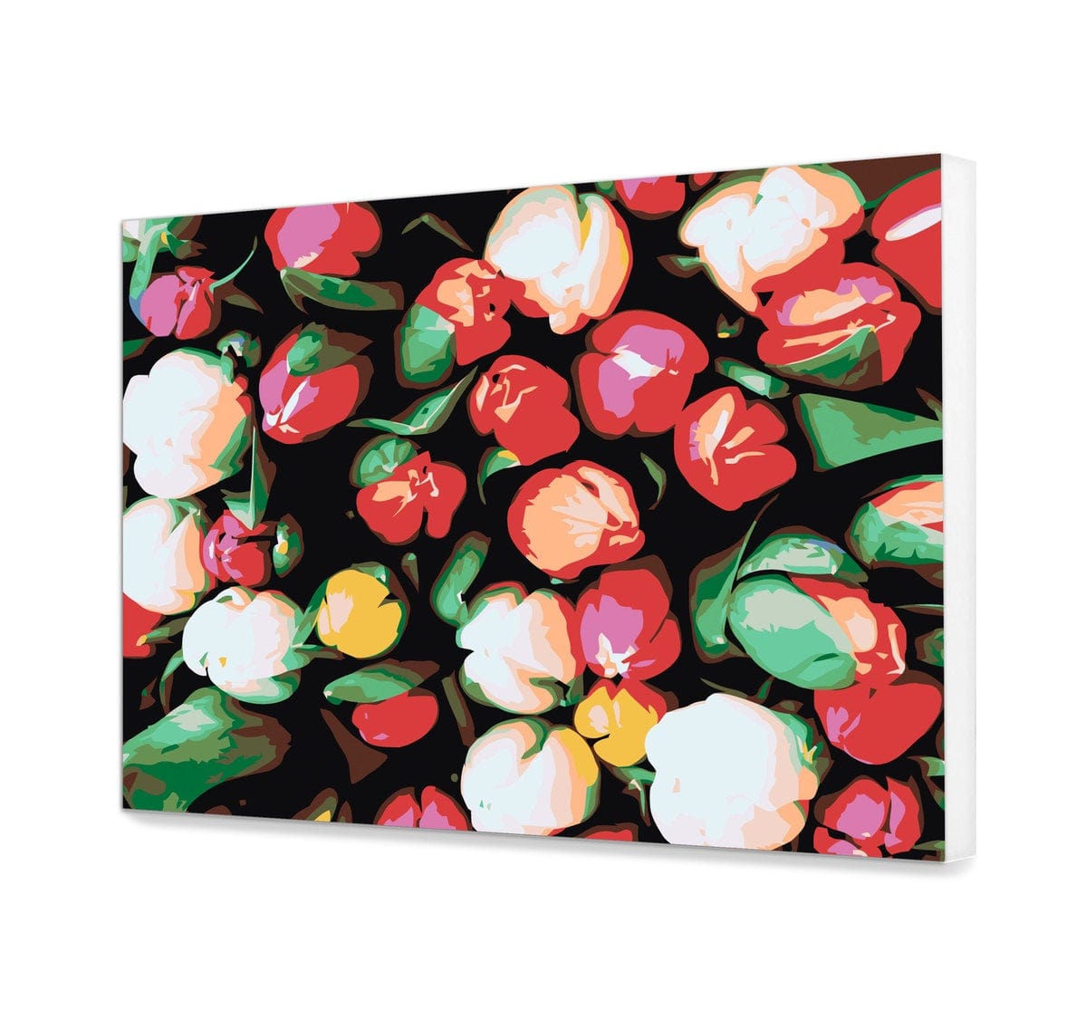 Wiosenne Tulipany PC0053