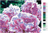 Załaduj obraz do przeglądarki galerii, Kwiaty AD0135